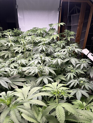 Growreport Bild 25