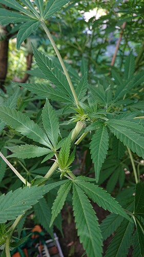 Growreport Bild 14