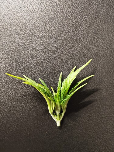 Growreport Bild 12