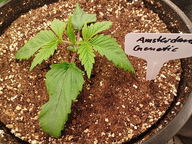 Growreport Bild 4