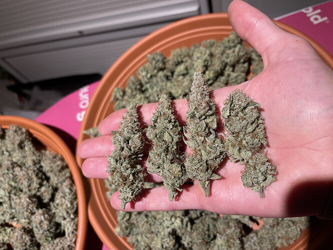Growreport Bild 7
