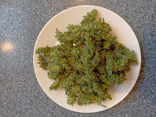 Growreport Bild 2