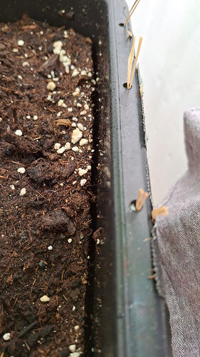 Growreport Bild 251
