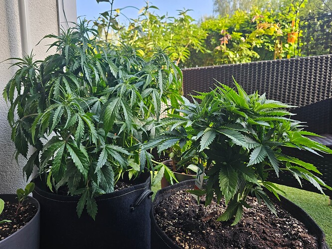 Growreport Bild 11
