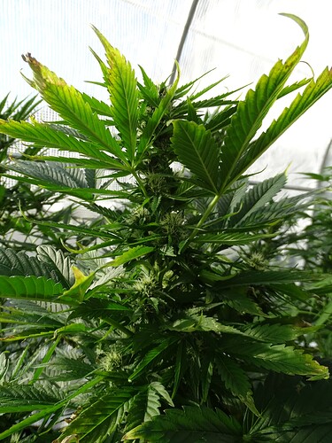 Growreport Bild 17