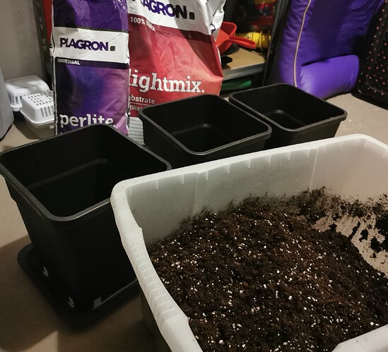Growreport Bild 10