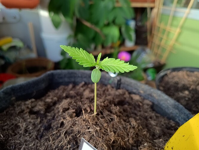 IMG_20240430_190054848_HDR