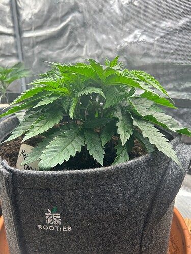 Growreport Bild 7