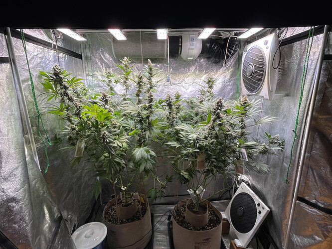 Growreport Bild 1