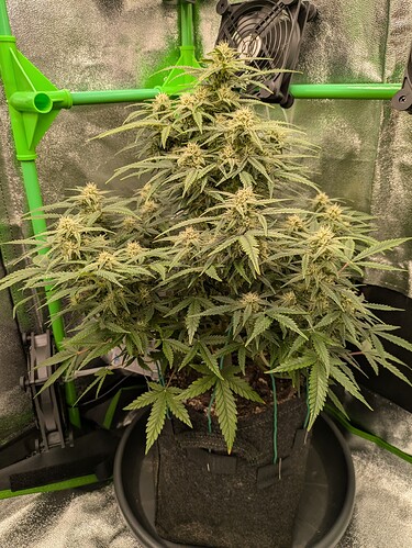 Growreport Bild 22