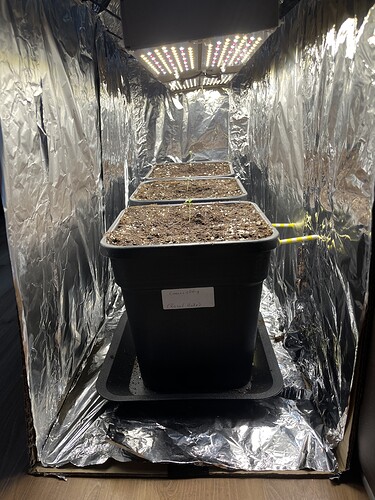 Growreport Bild 2