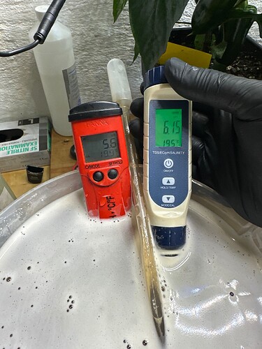 Growreport Bild 29