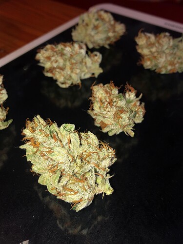 Growreport Bild 80