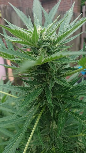 Growreport Bild 10
