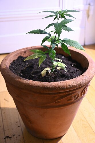 Bildschirmfoto 2025-01-05 um 16.51.13