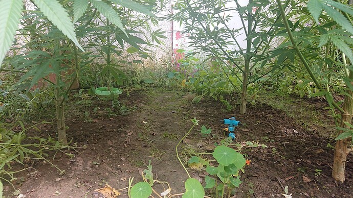 Growreport Bild 45