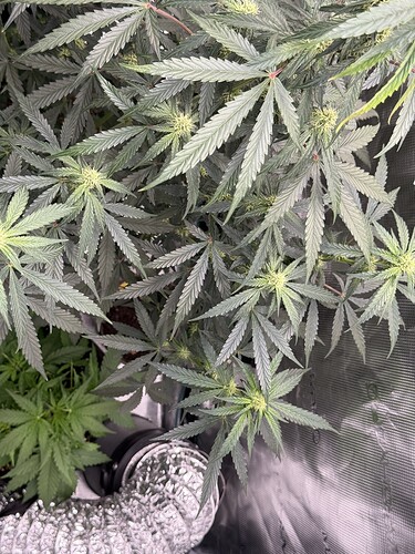 Growreport Bild 10