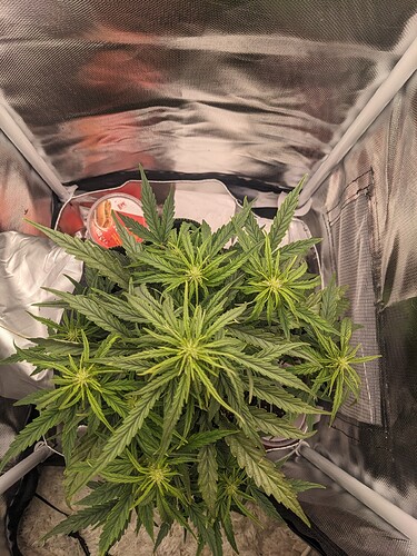 PXL_20240521_221410997