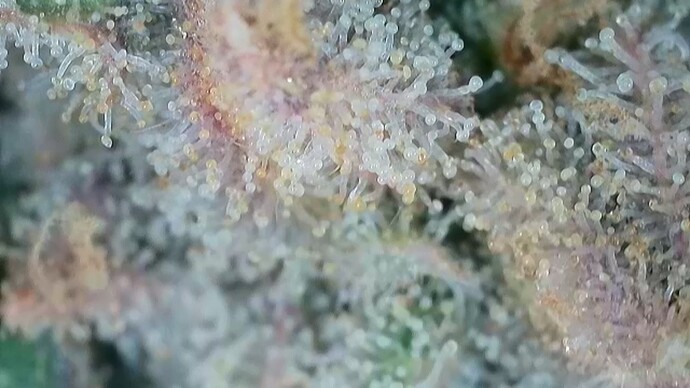 Growreport Bild 26