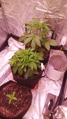 IMG_20240415_112342_760