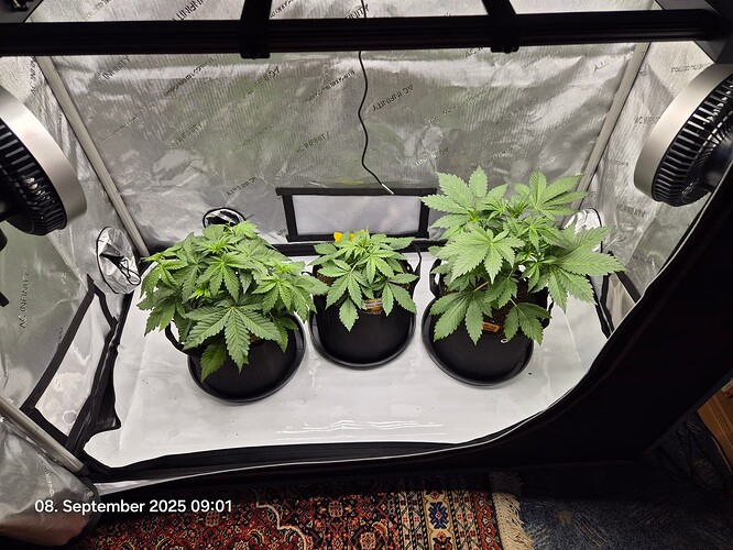 Growreport Bild 23
