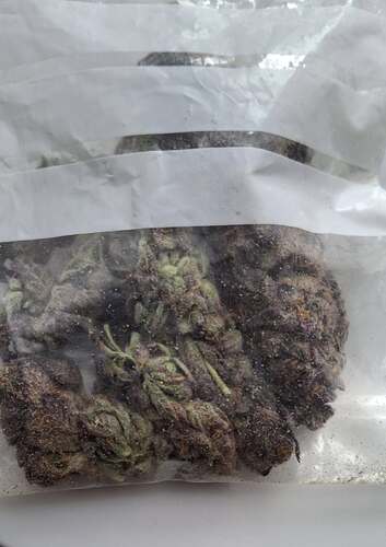 Growreport Bild 39