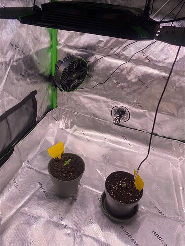 Growreport Bild 2