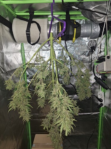 Growreport Bild 11