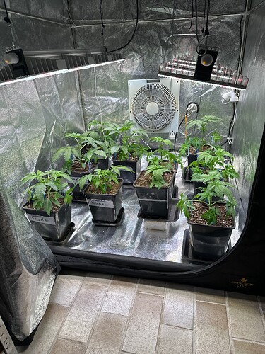 Growreport Bild 103