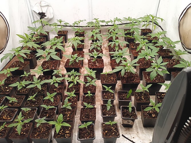 Growreport Bild 11