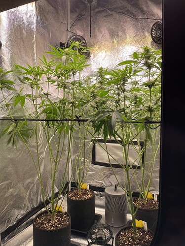 Growreport Bild 13