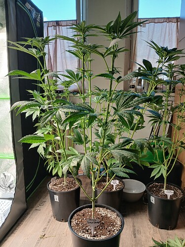 Growreport Bild 12