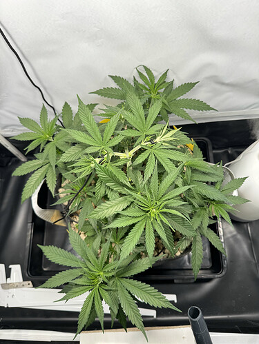 20240507_192704322_iOS