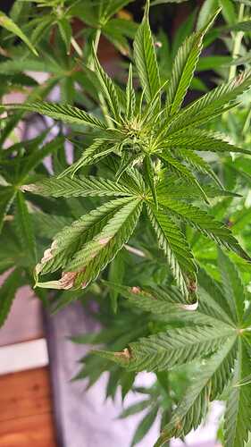 Growreport Bild 14