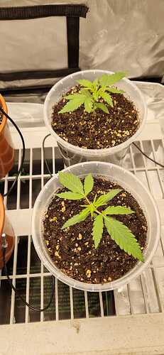 WhatsApp Bild 2024-04-15 um 12.38.30_447d4522