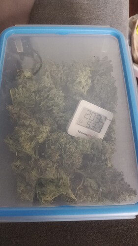 Growreport Bild 24