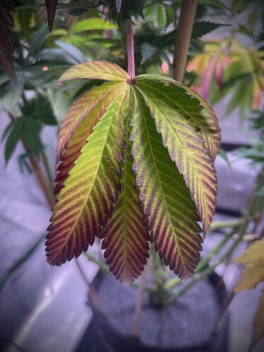 Growreport Bild 11