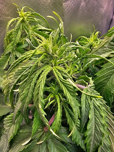 Growreport Bild 4