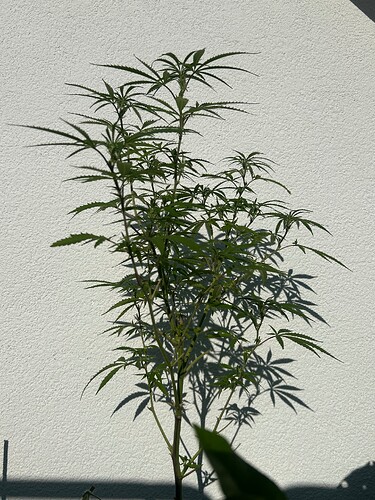 Growreport Bild 25