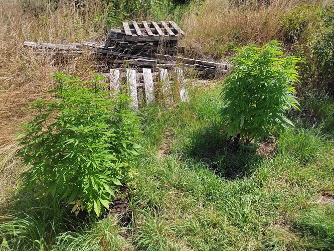 Growreport Bild 17