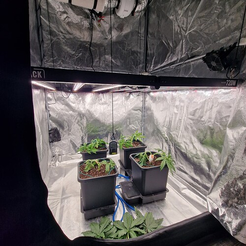 Growreport Bild 9