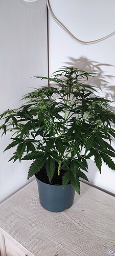 Growreport Bild 14