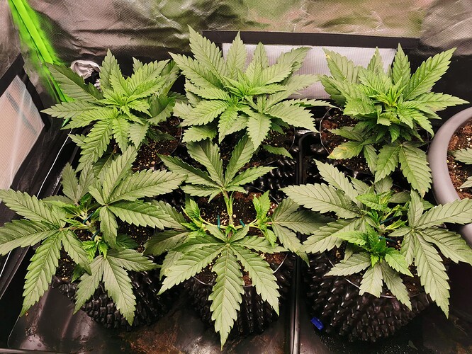 Growreport Bild 14