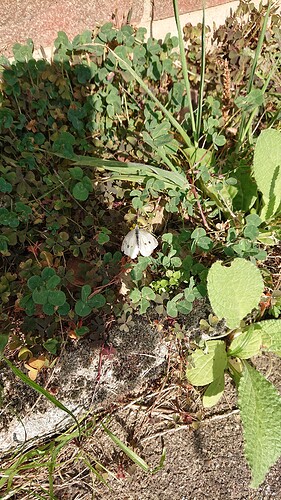 Growreport Bild 15