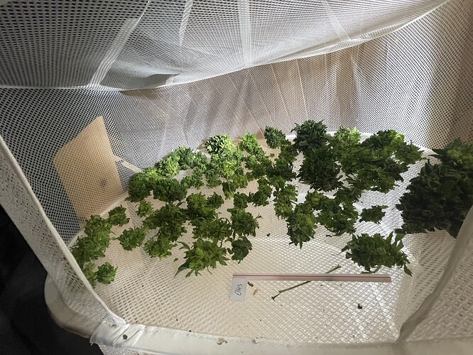 Growreport Bild 1