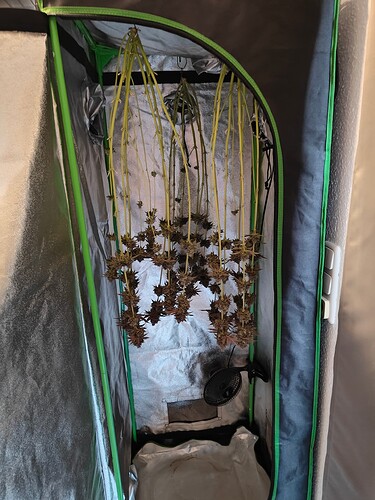 Growreport Bild 1