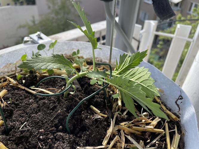 Growreport Bild 18