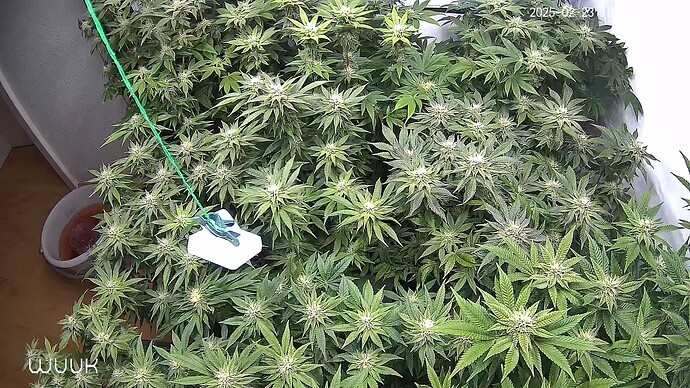 Growreport Bild 1