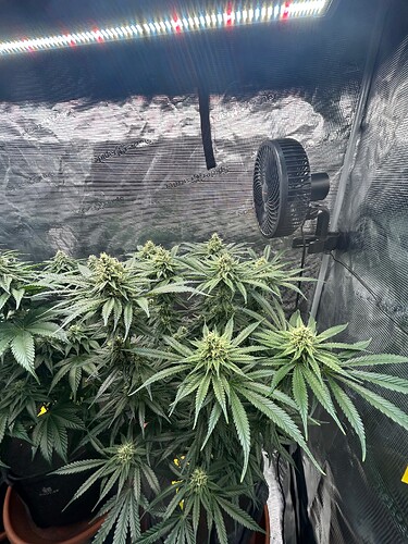Growreport Bild 9