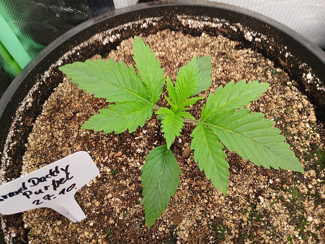 Growreport Bild 11